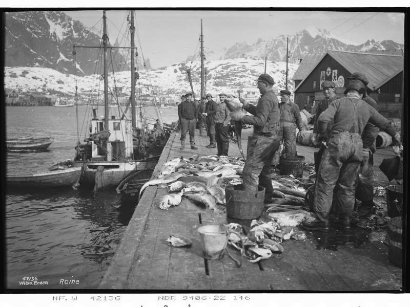 Gutting fish on the piers 1935